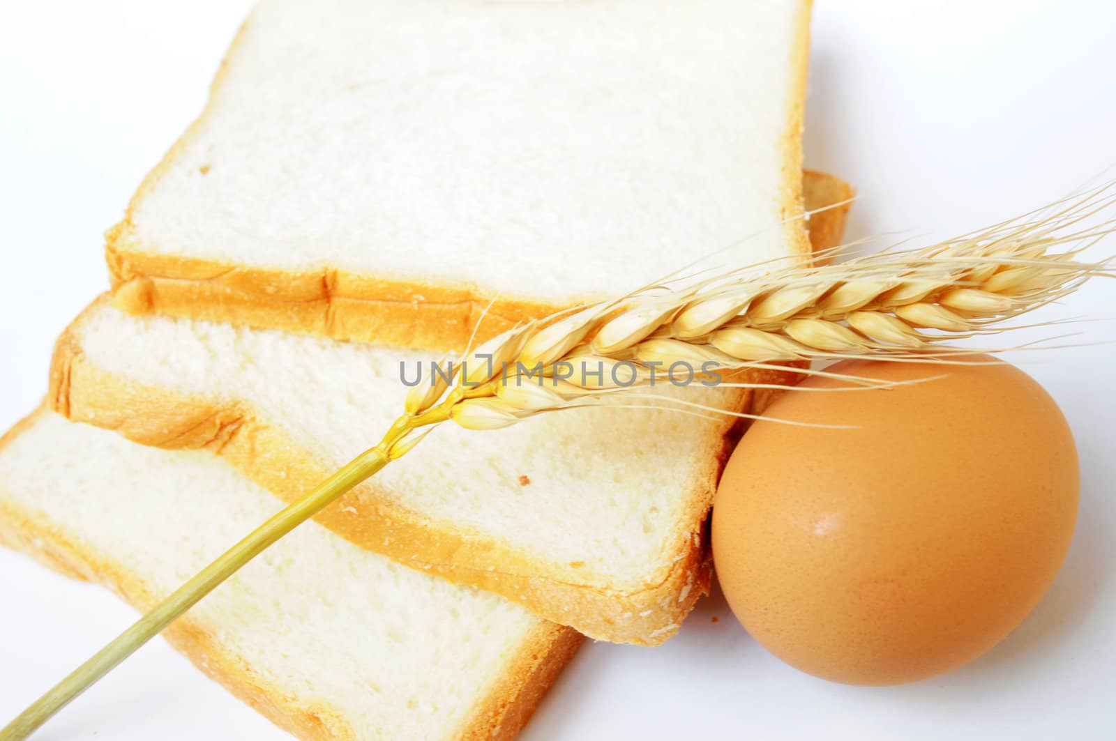 Bread, wheat ear and egg on a white background