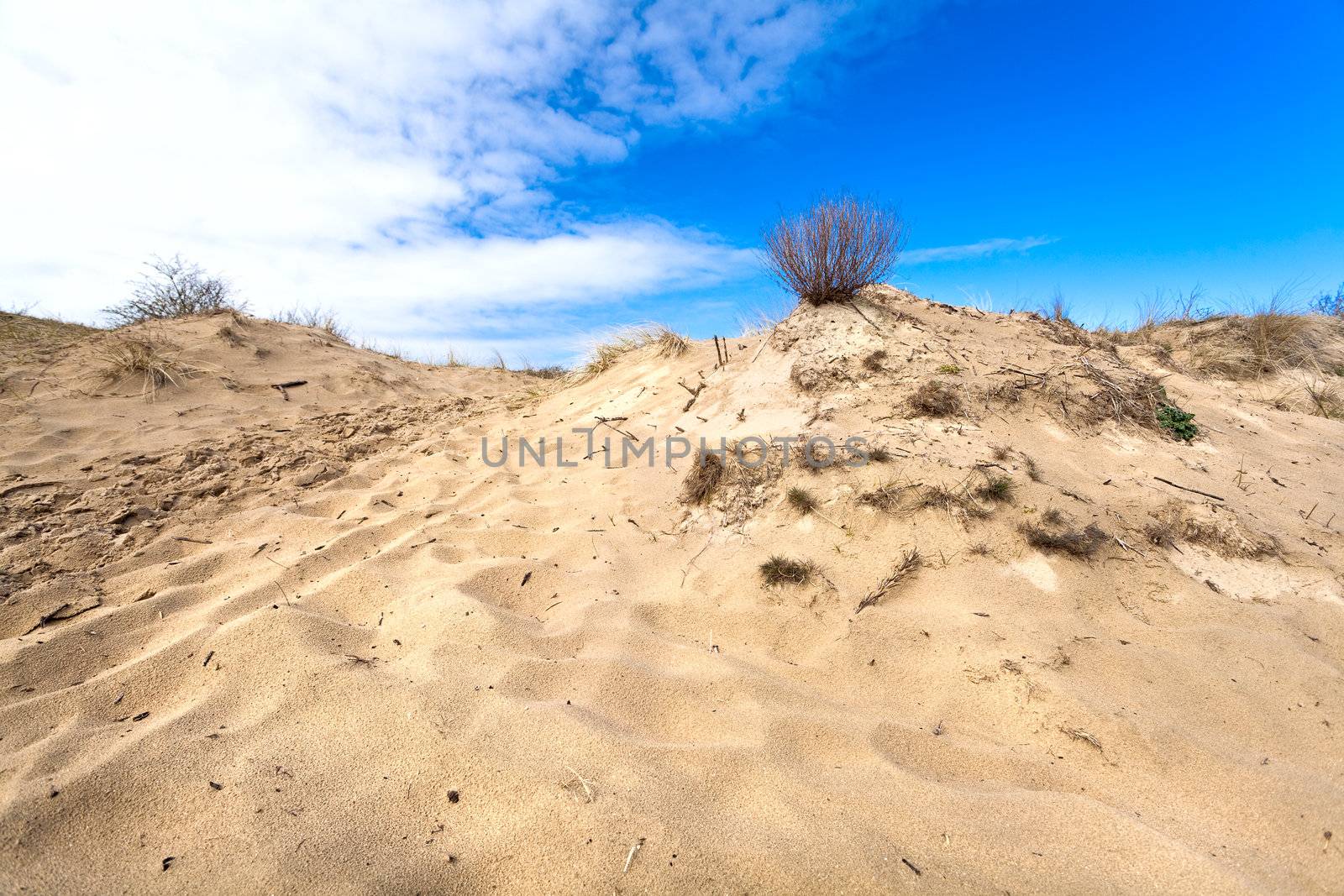 sandy dune by catolla