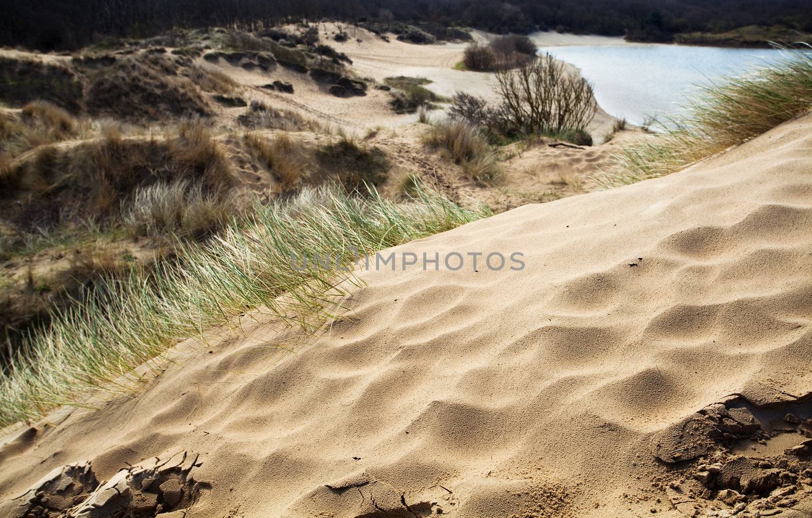 view on sandy dunes with dry grass in Netherlands, close to Haarlem city