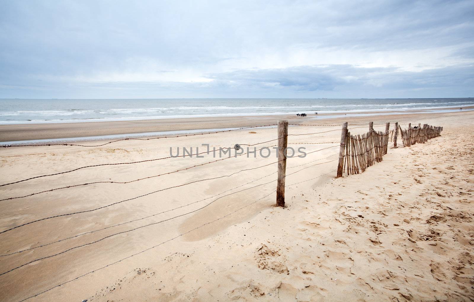 sandy creamy  beach on North sea cast