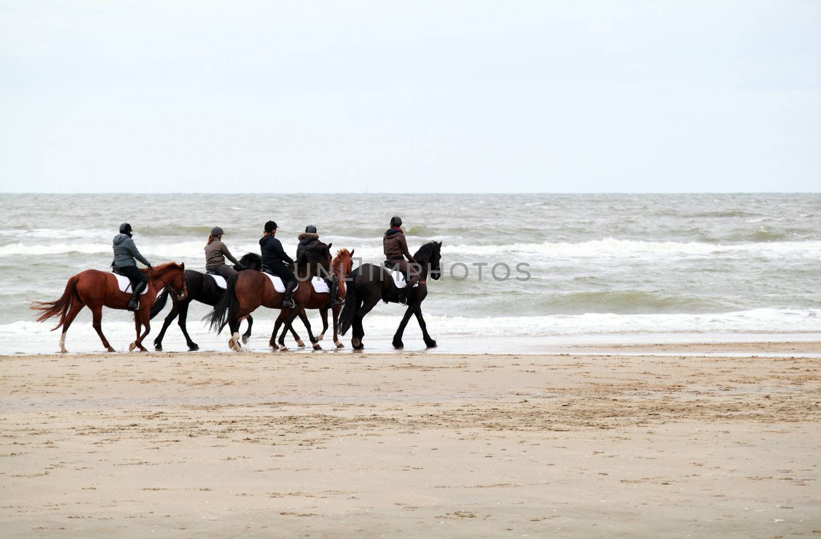 group riding horses close to North sea
