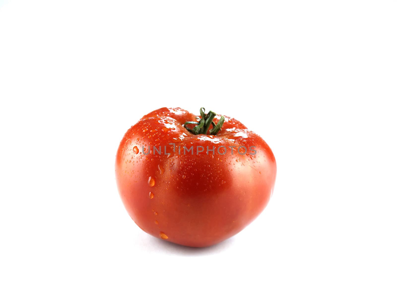 Wet tomato over white
