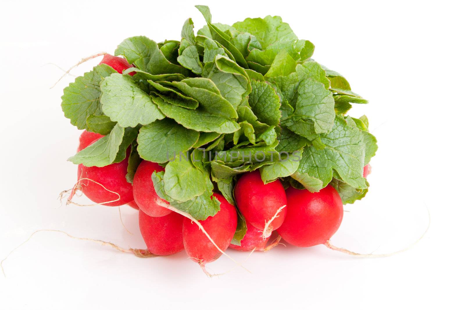 fresh radish isolated on white background  by Mazirama