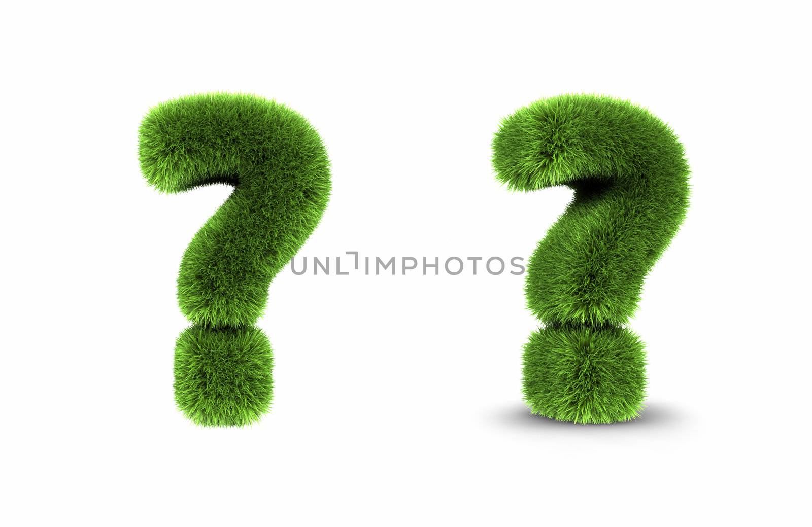 Grass question mark, isolated on white background