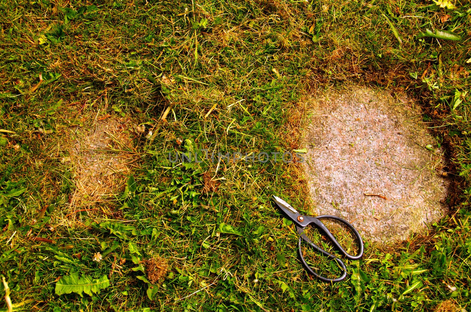 A garden needs constant maintenance.  Cutting grass with a scissors