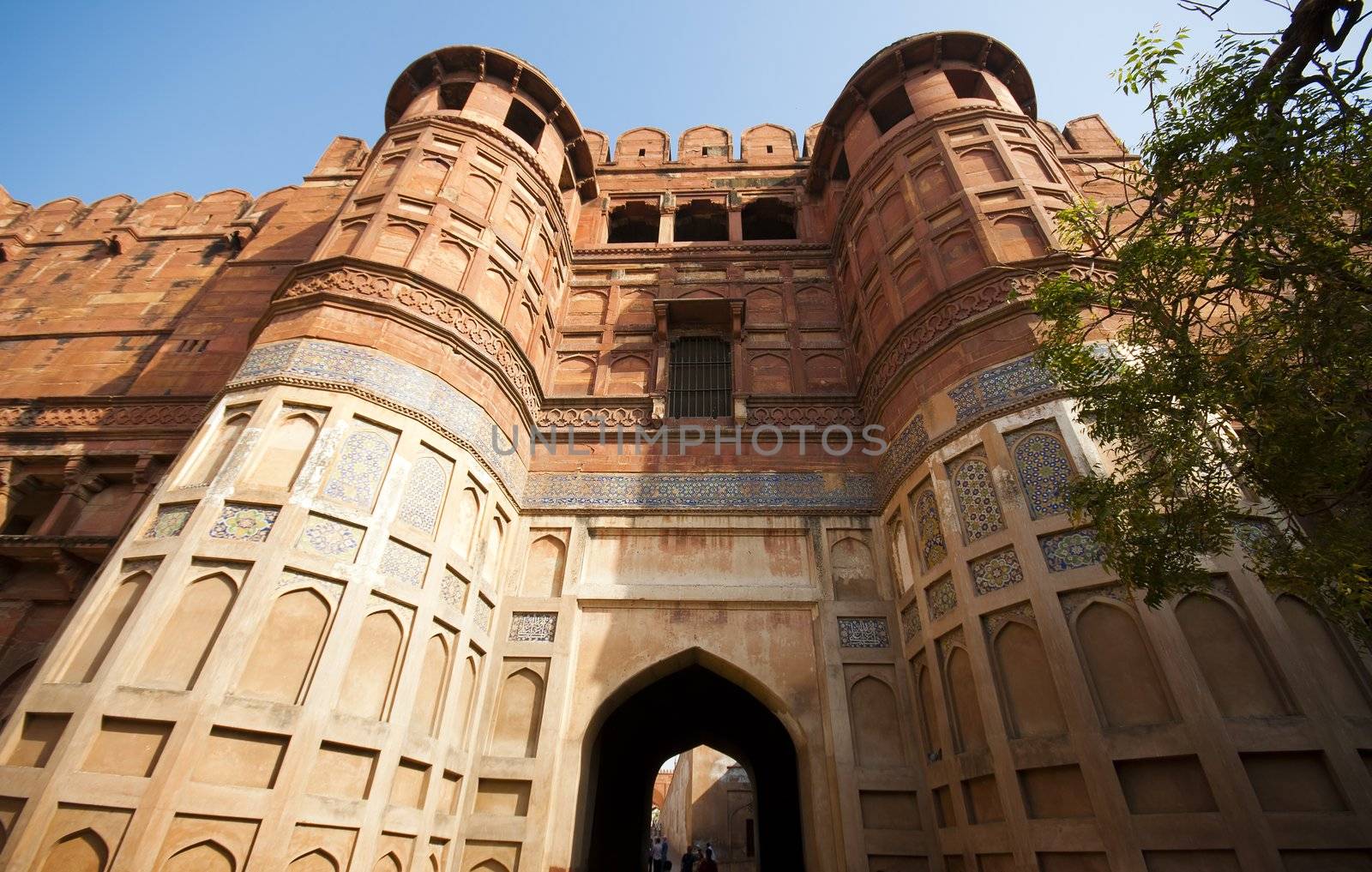 Agra Fort in India by johnnychaos