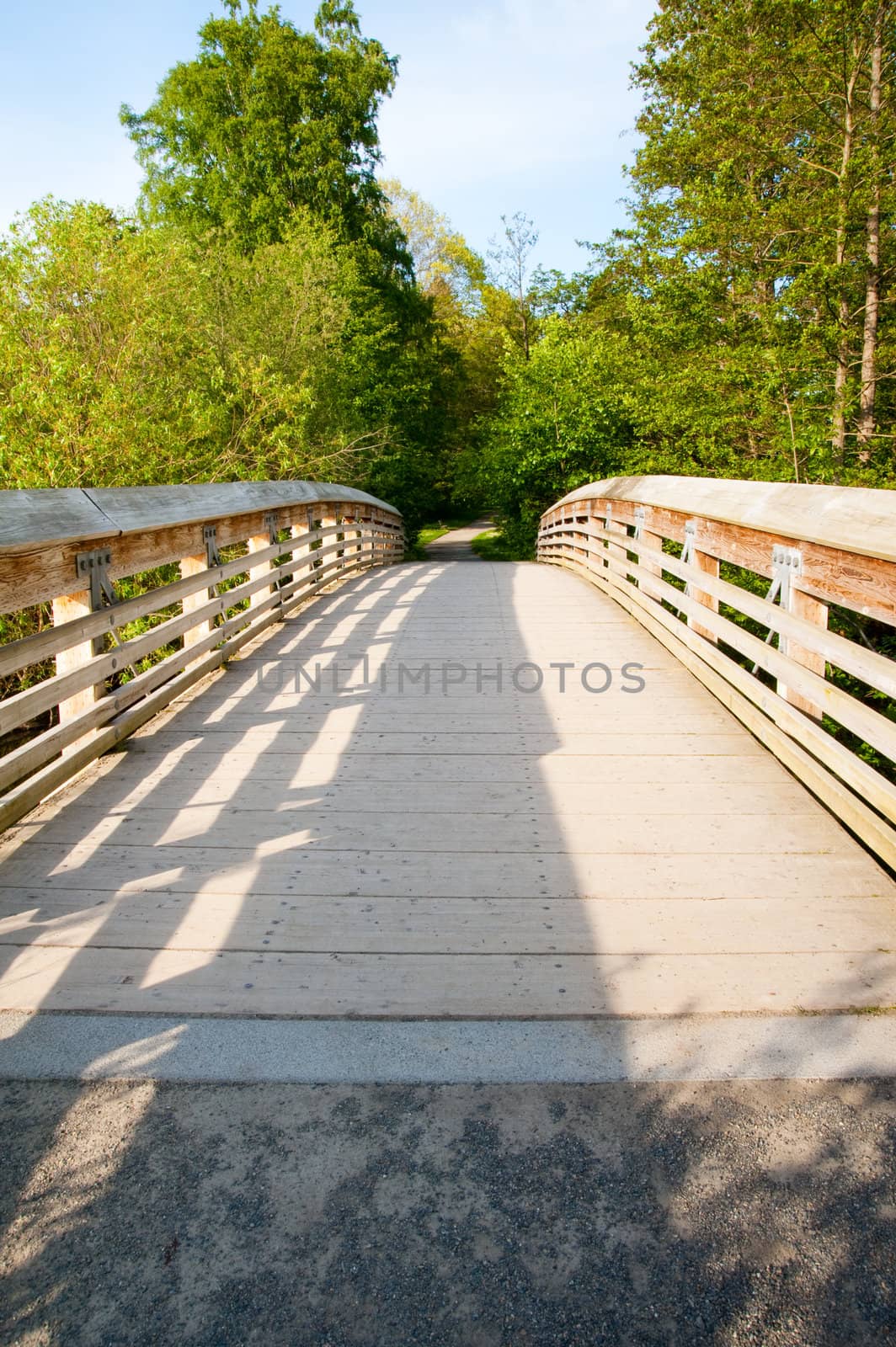 Wood bridge in Washington Park Arboretum