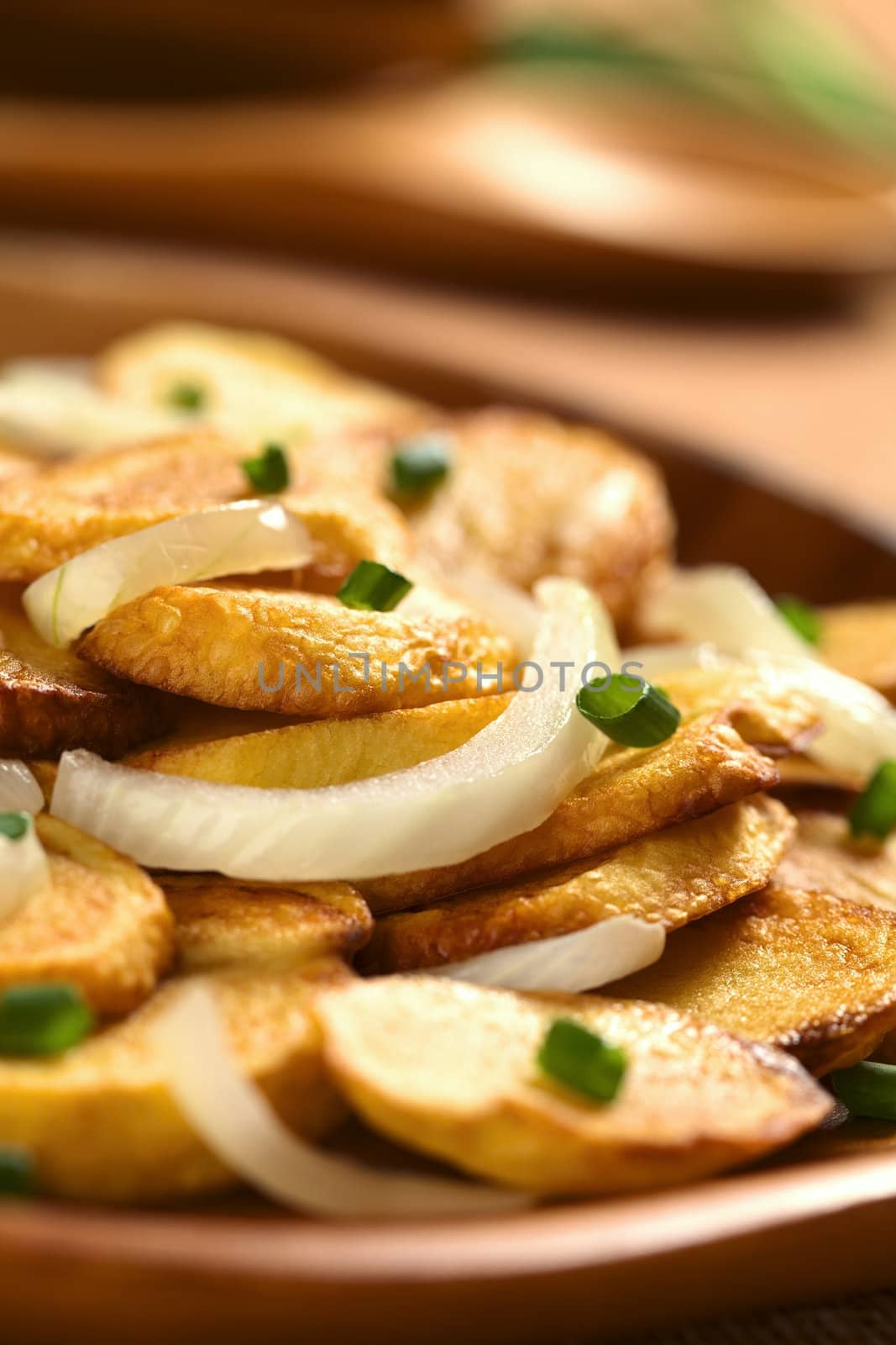 Fresh homemade crispy fried potato slices with fried onion and scallion on wooden plate (Selective Focus, Focus on the front of the potato slice on top)
