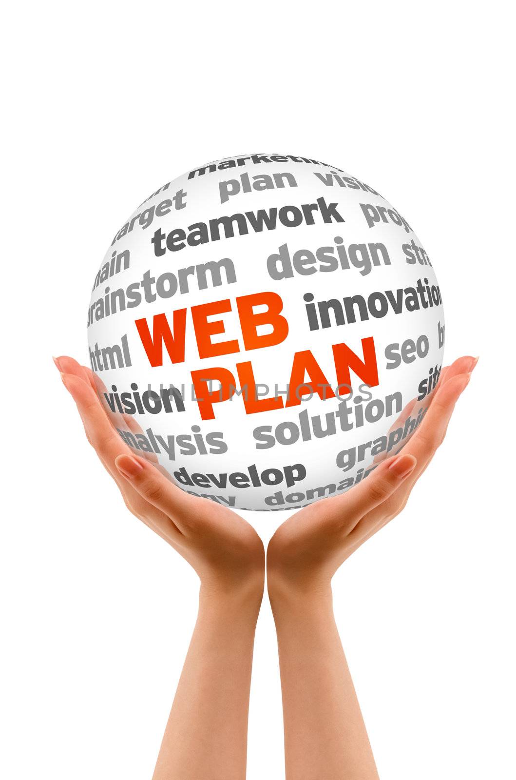 Hands holding a Web Plan Word Sphere sign on white background.