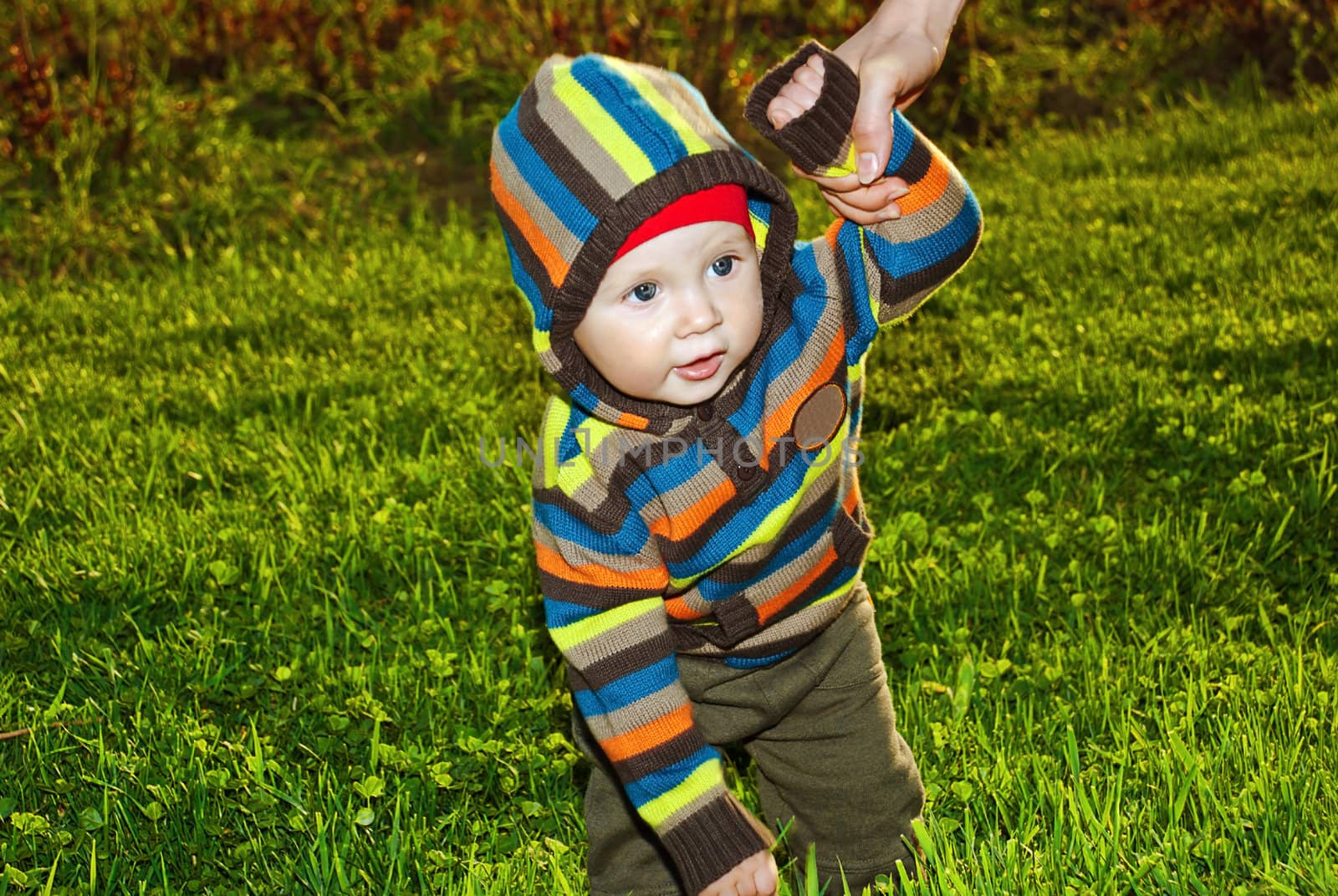 Handsome boy walking on green grass in hand with parents.