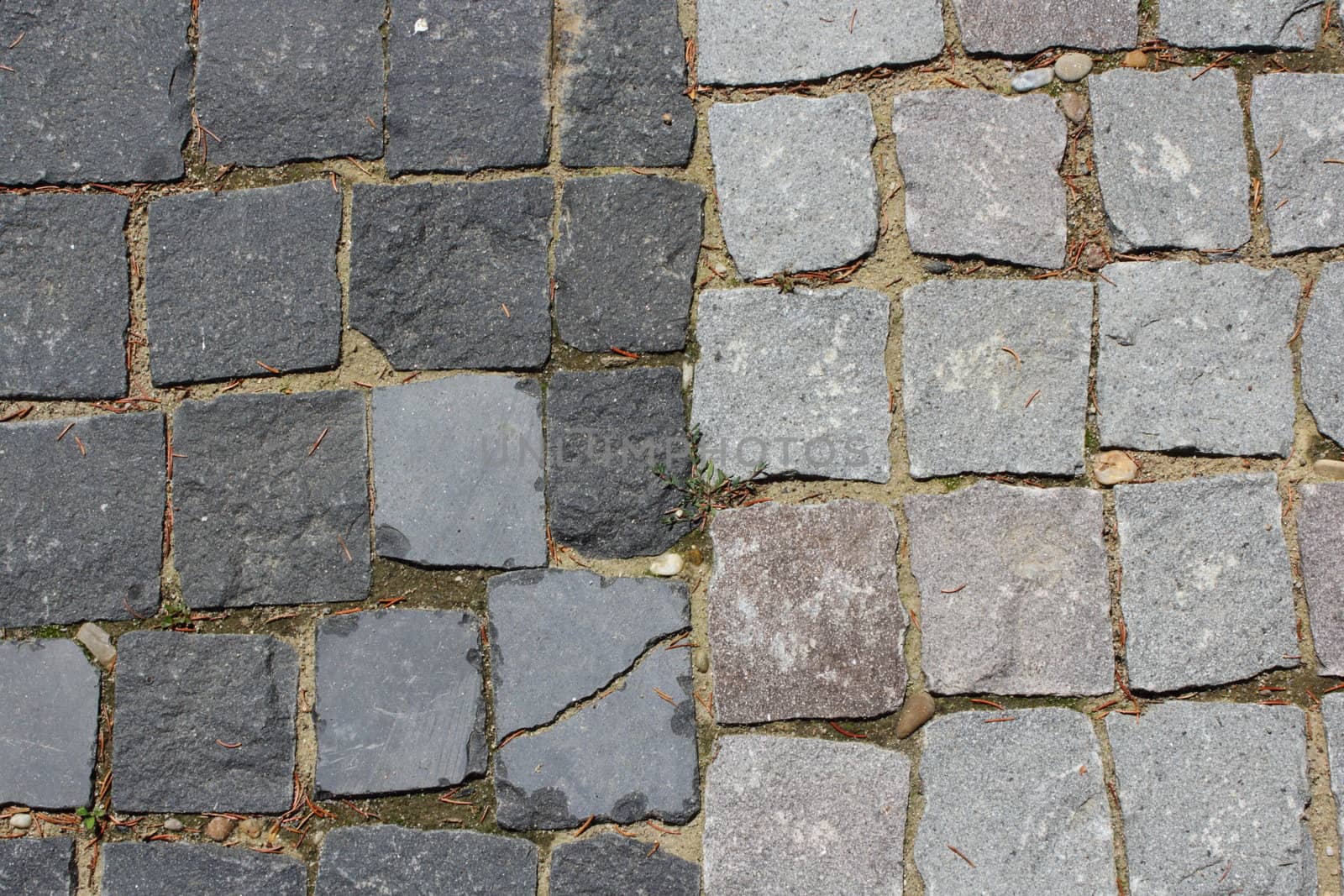 detail of two types of paved stones on a city road