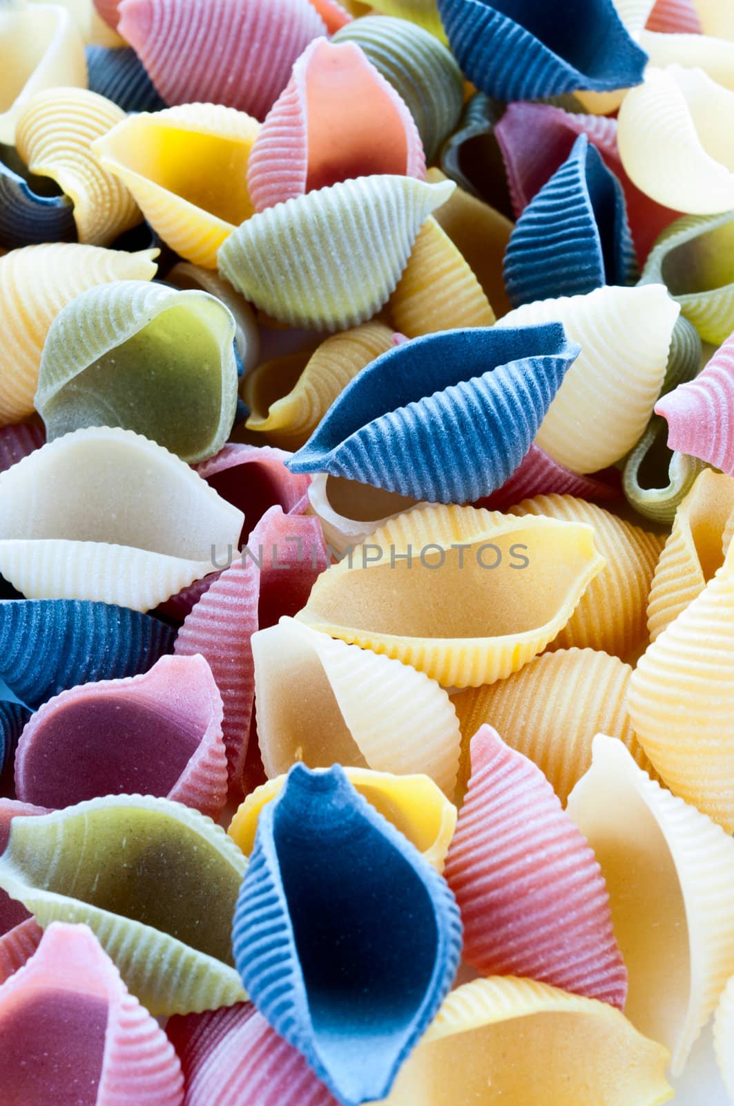 Colorful pasta background close up