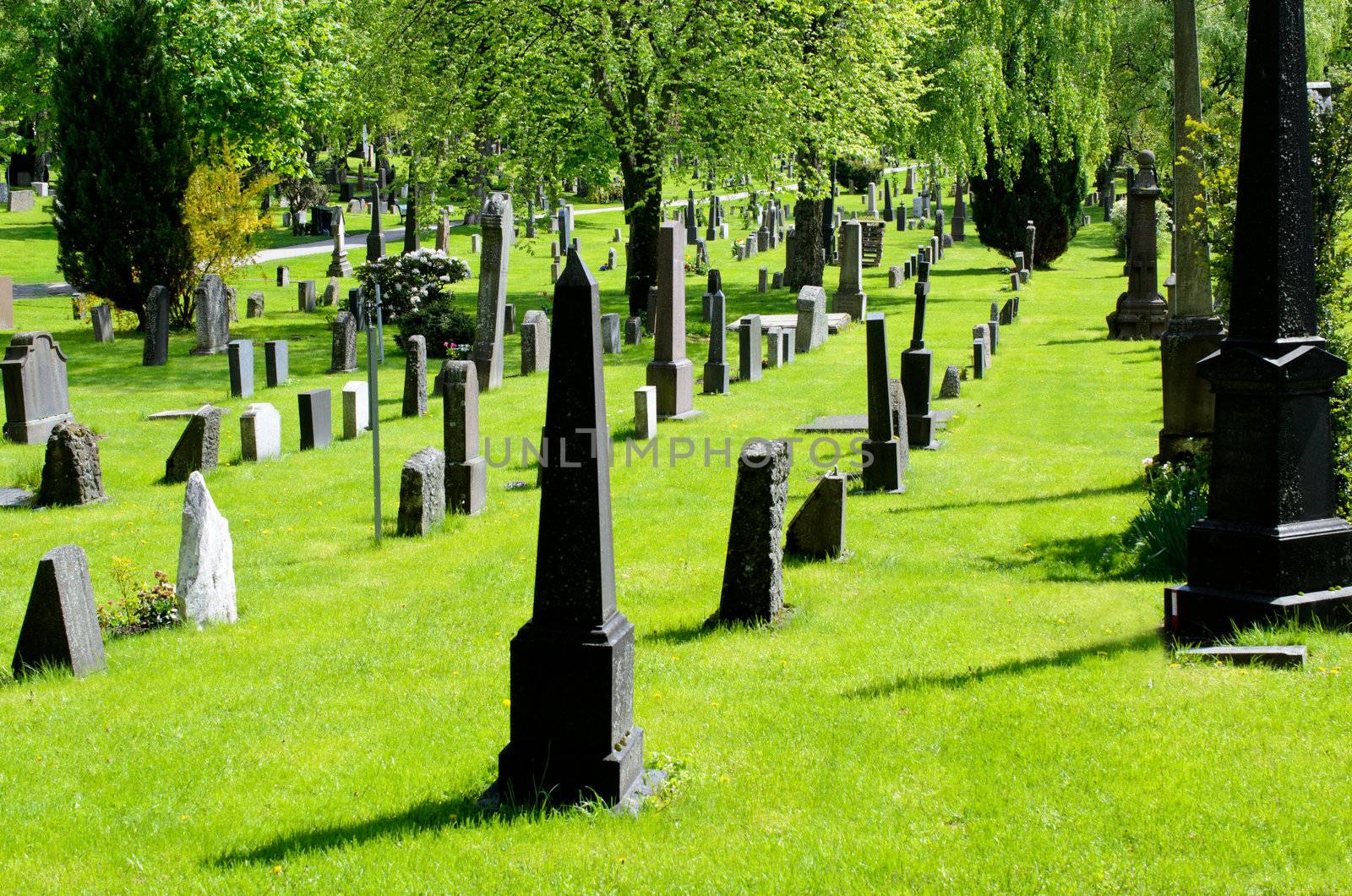 Grave stones on city cemetery