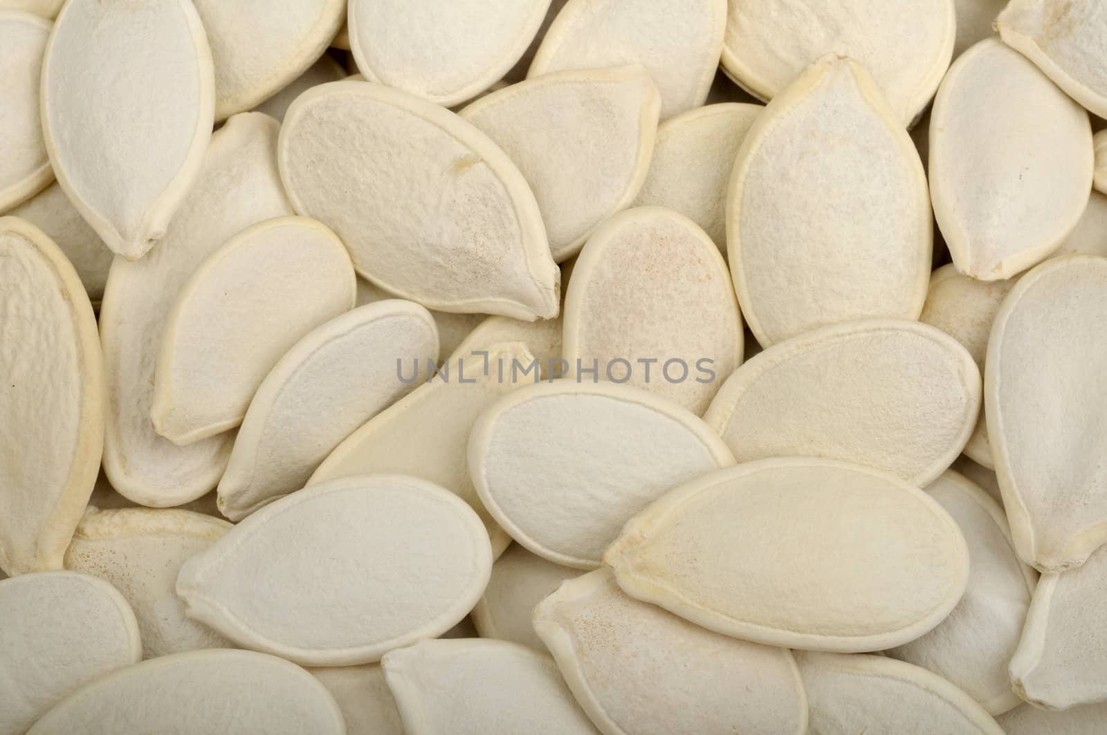 background of the pumpkin seeds in shell