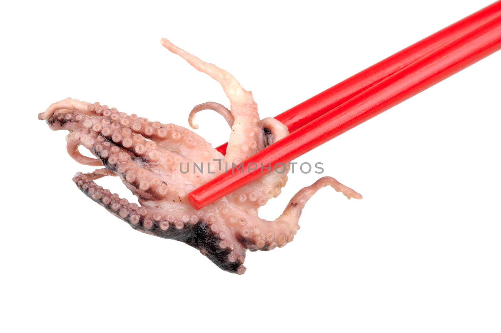 octopus in the chopstick isolated on white background