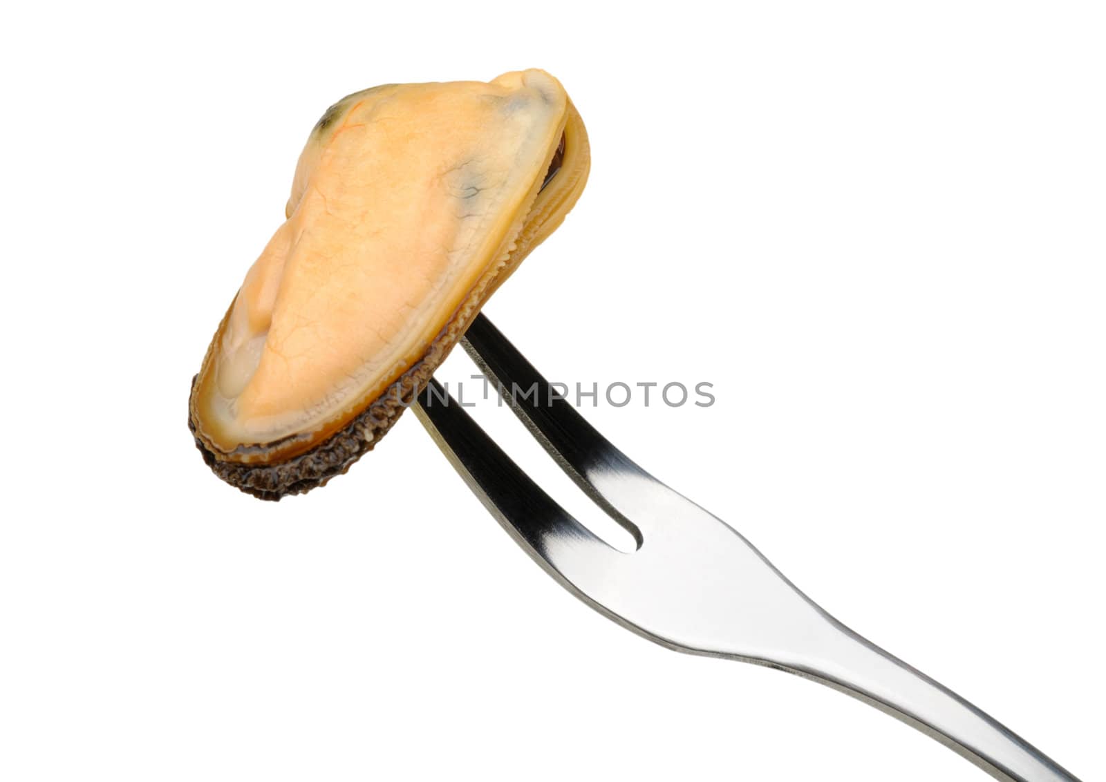 mussel on a fork isolated on white background