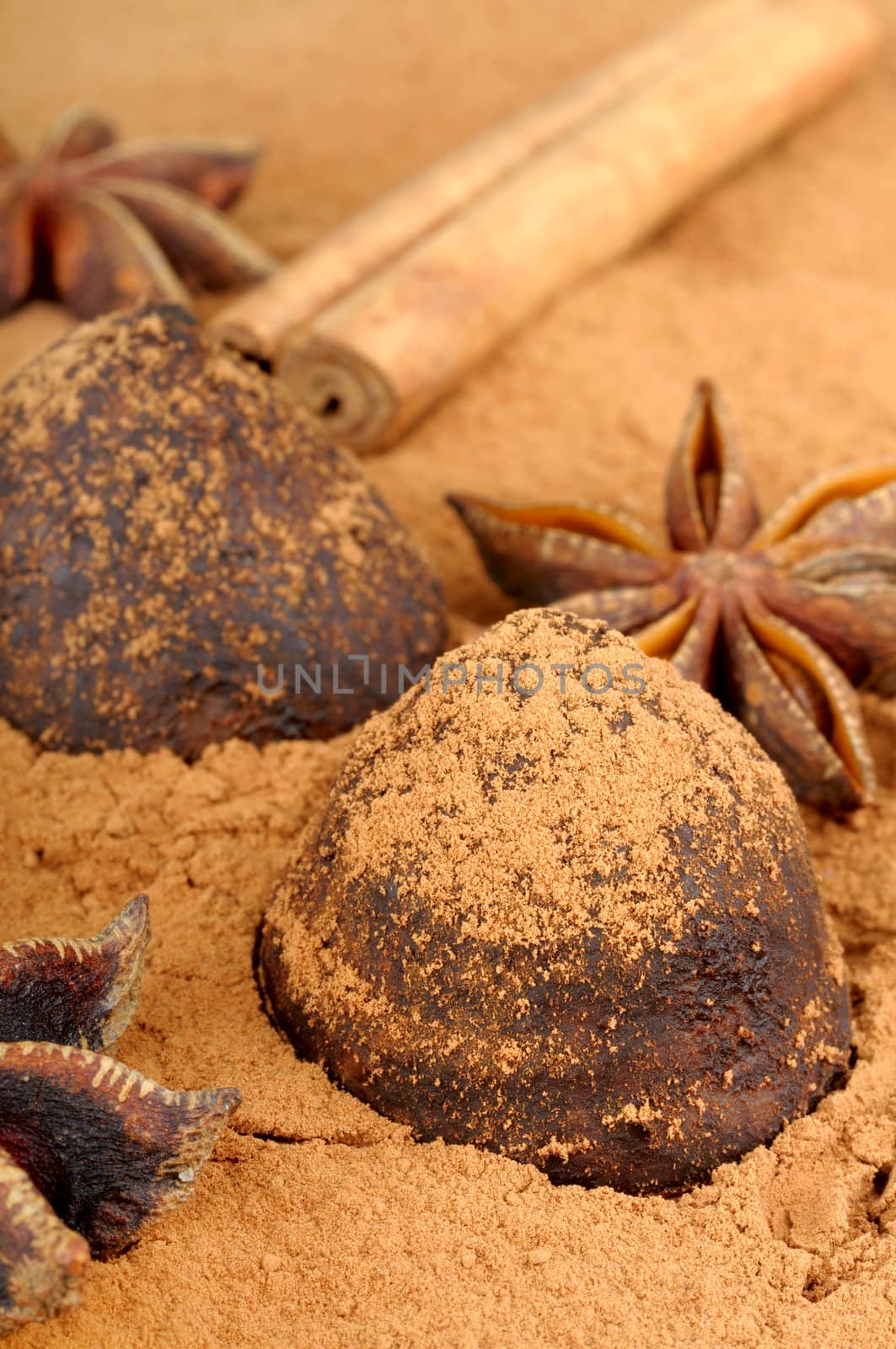 cinnamon chocolate truffles and Star anise isolated on white background