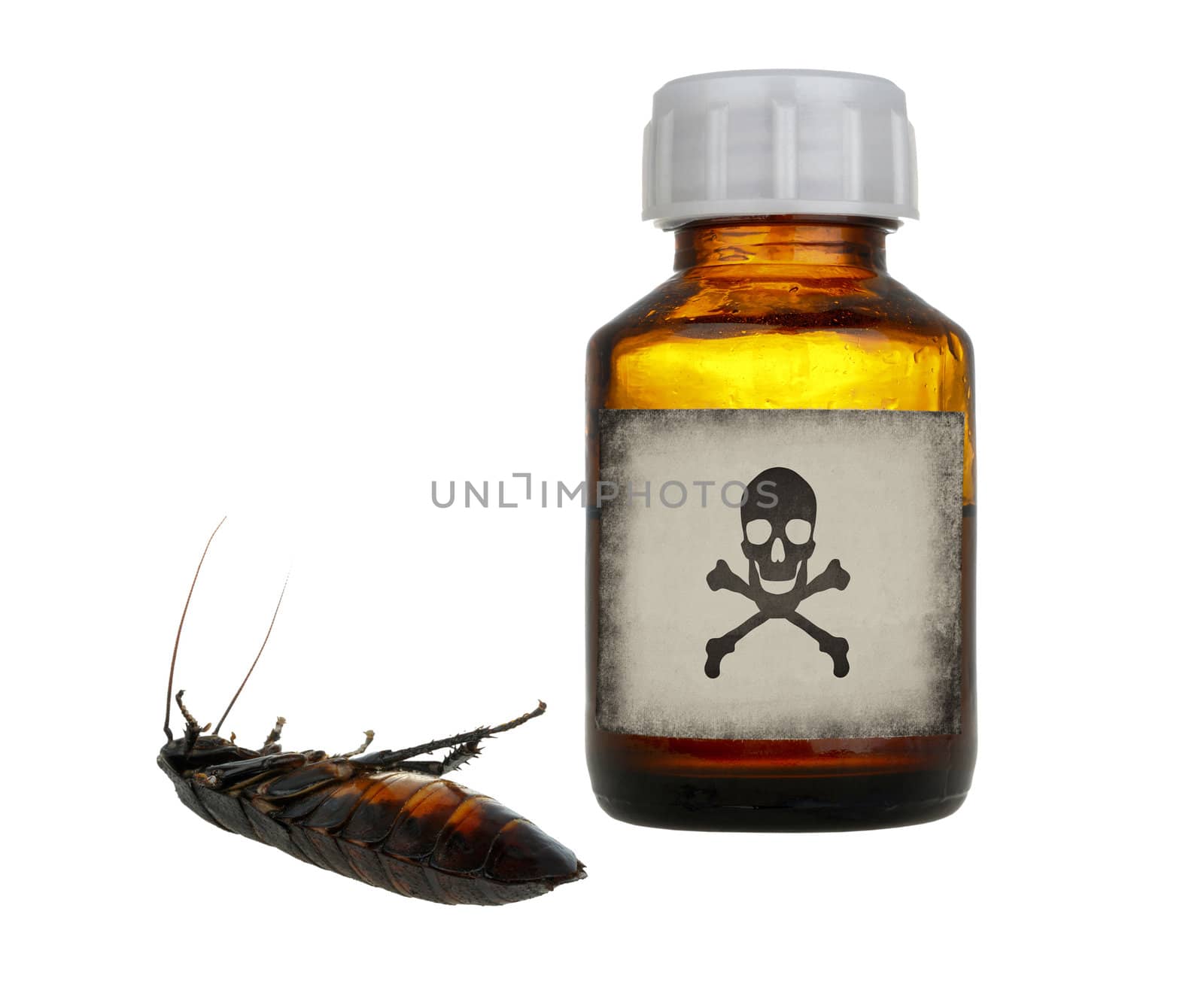 old bottle of poison and dead cockroach isolated on white background