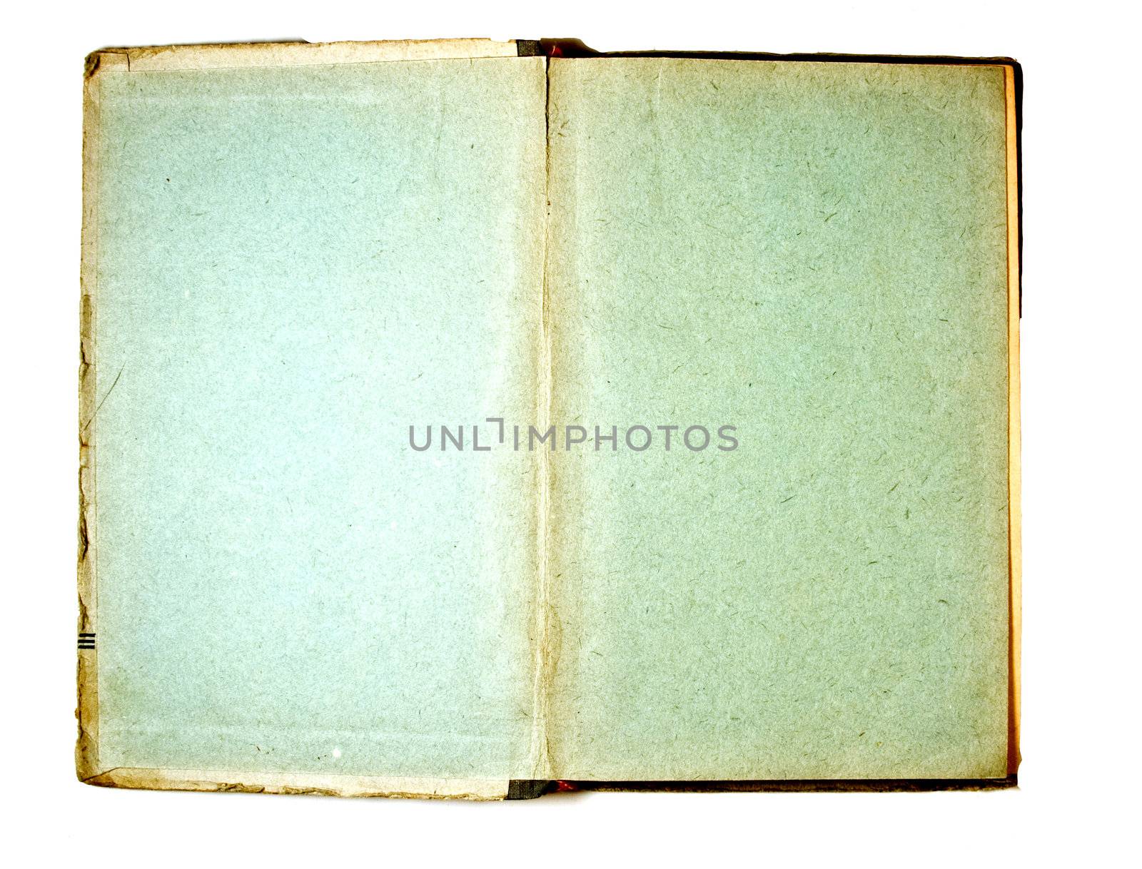 Two blank Pages in ancient Book, on a white background