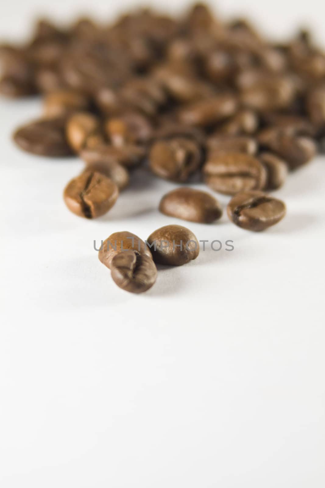 Coffee Beans close-up, small depth of sharpness.