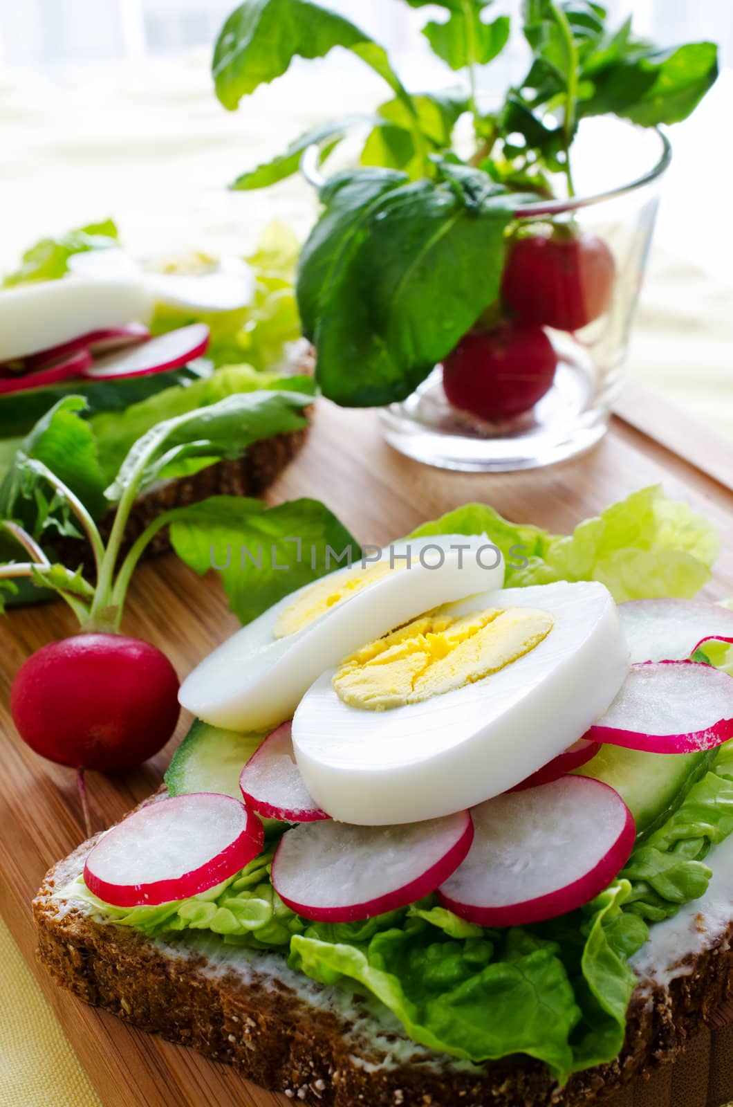 Fresh toast sandwiches with egg and radish by Nanisimova