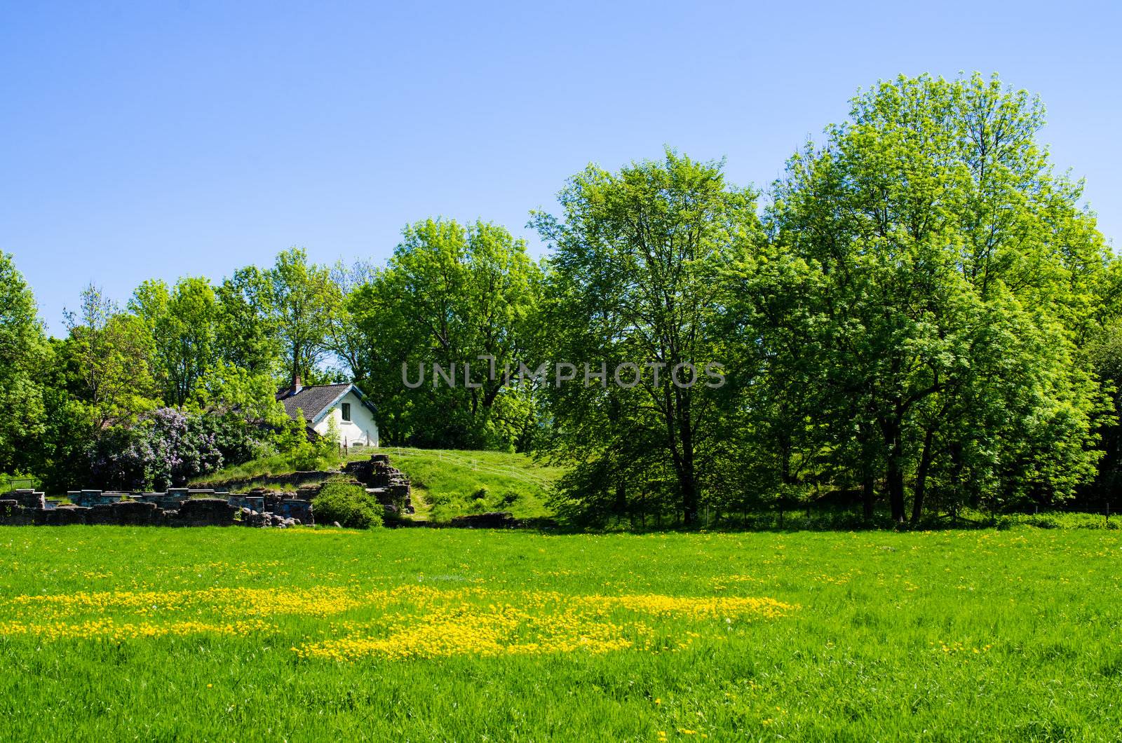 White house on the green meadow. Island Hovedoya Oslo, Norway