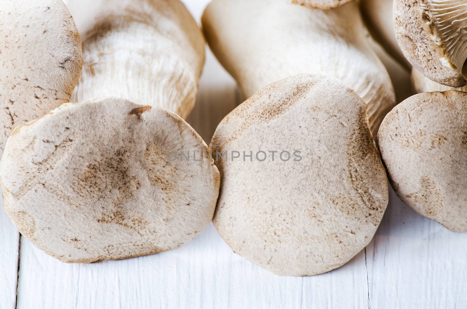 King oyster mushrooms on a white wooden table close up