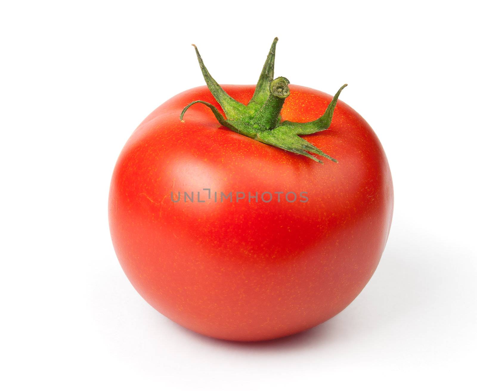 Tomato by GennadiyShel