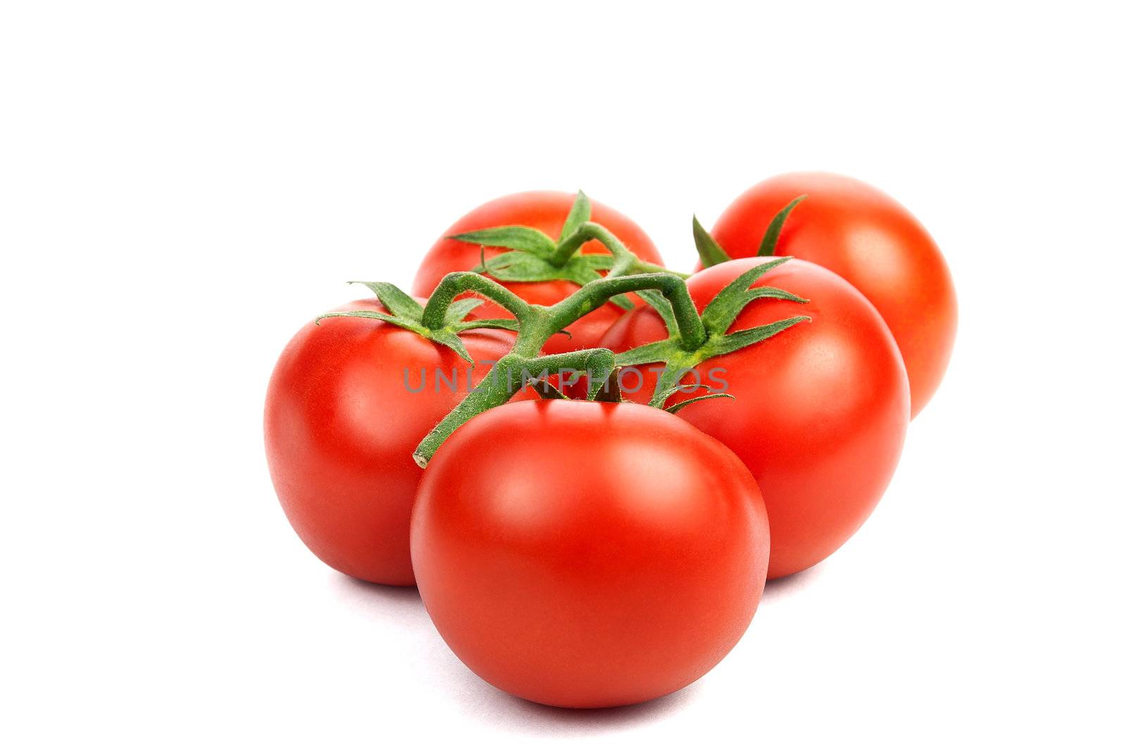 branch with red and fresh tomatoes