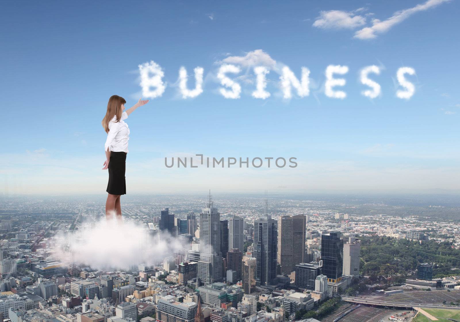 Collage on business theme by sergey_nivens