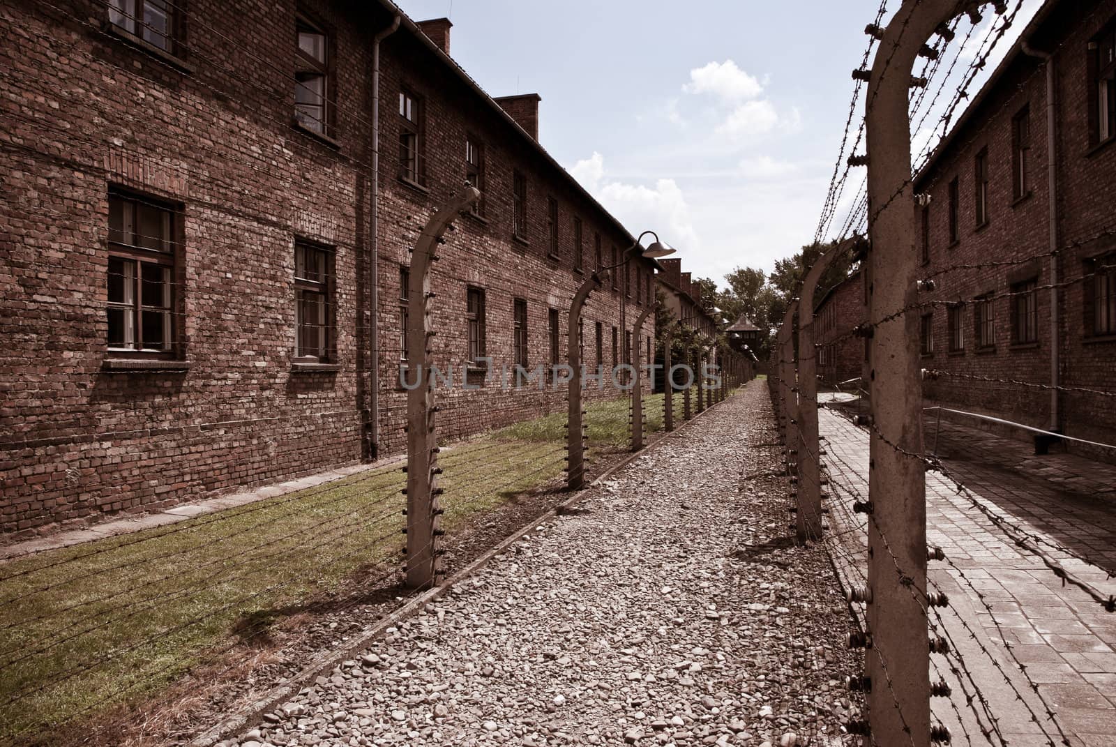 concentration camp by domenicosalice