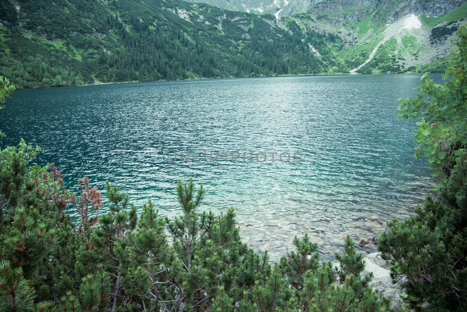 mountain lake with trees around in Poland
