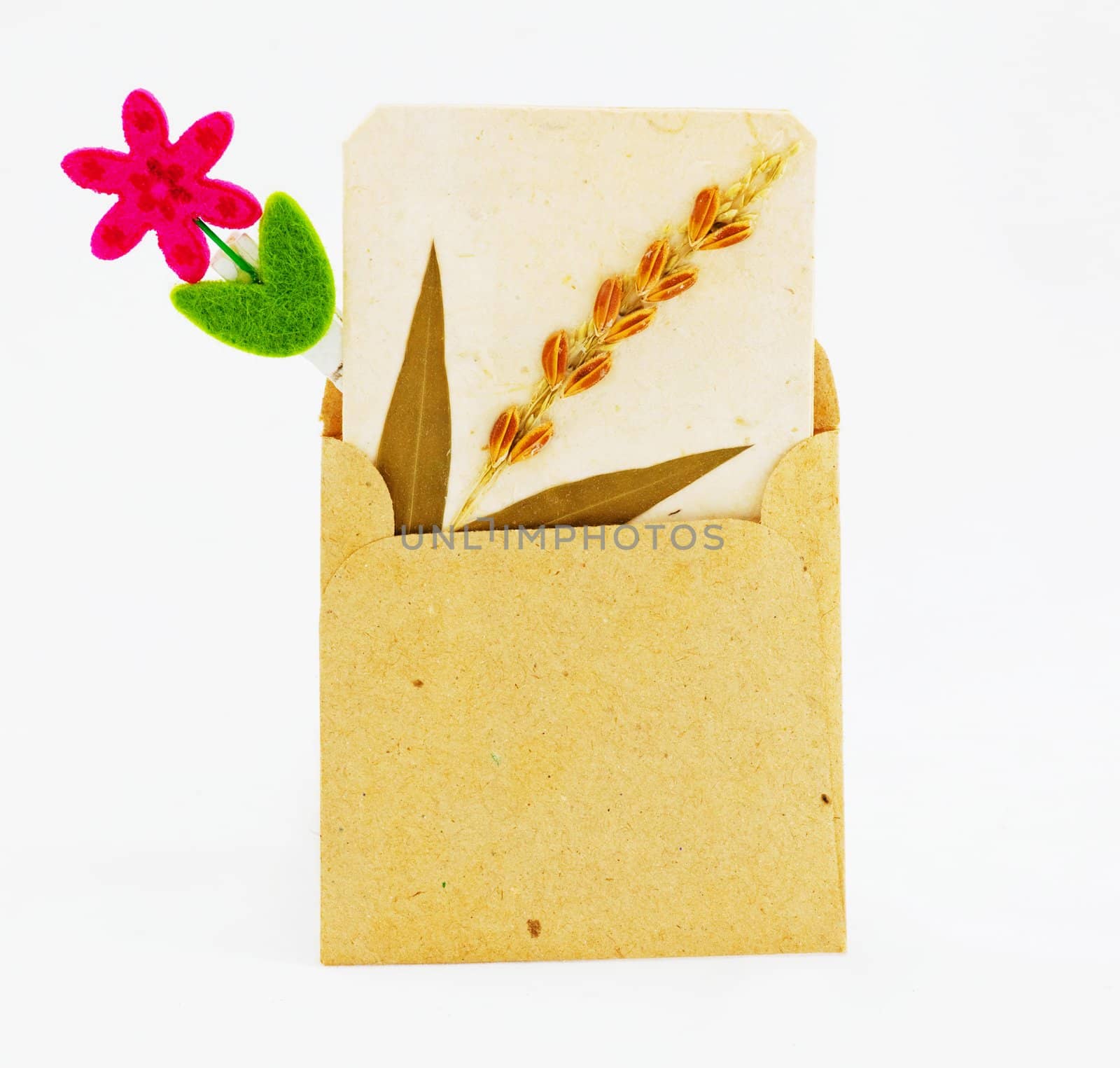 brown bag with clip on white background