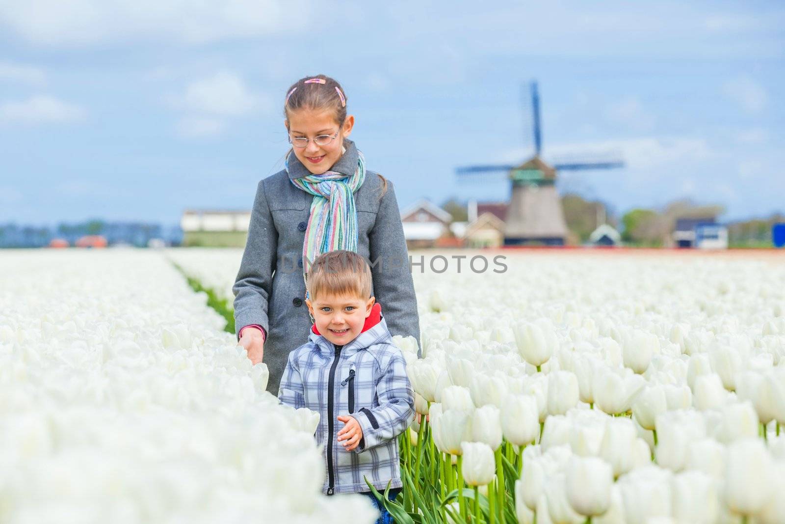 Boy with his sister and grandmother runs between of the purple tulips field