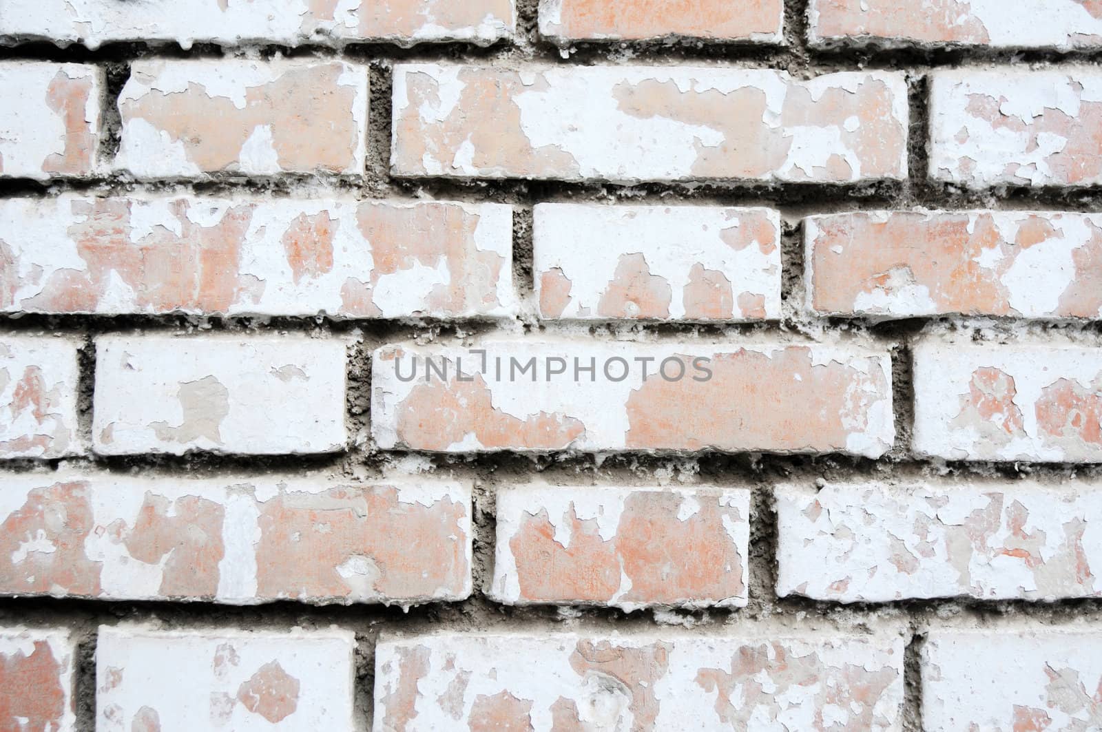 Old grunged brick wall as a vintage background