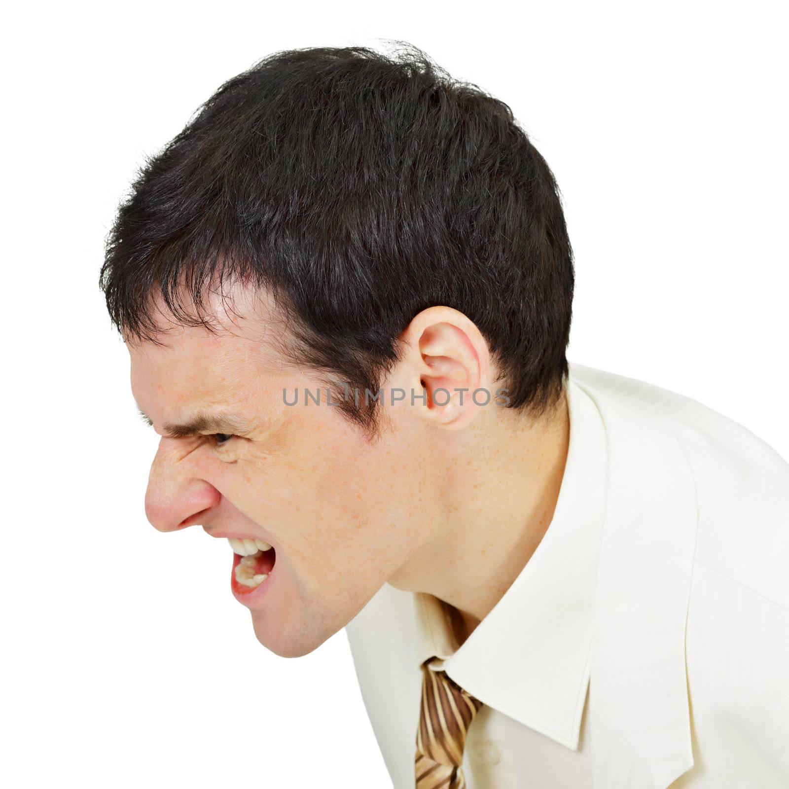 Furious men shouting isolated on white background