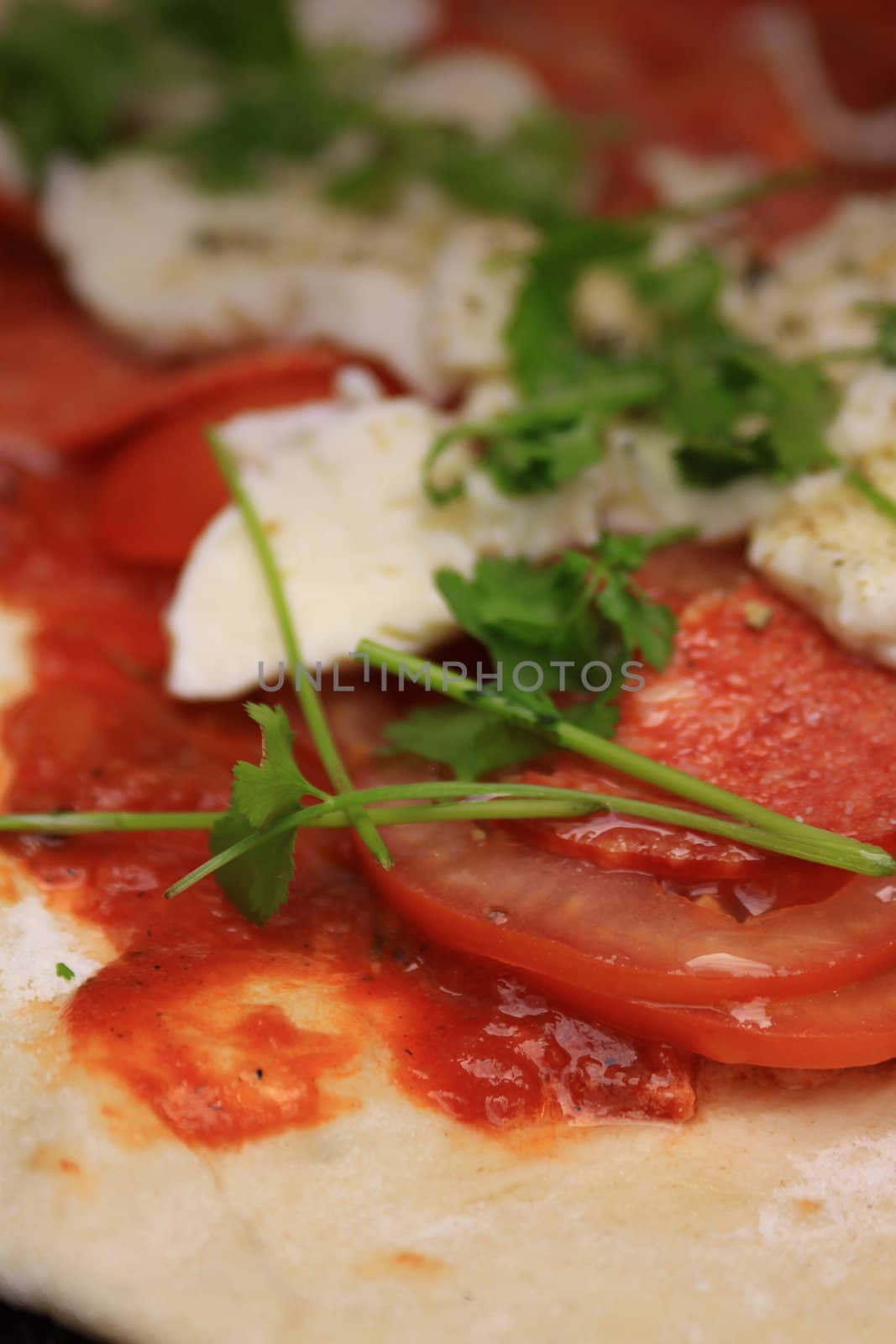 A low angled image and close up of a homemade pizza. Tomato's, pepperoni sausage and mozzarella cheese with fresh coriander, set on a pizza dough base with a homemade tomato sauce. Set on a portrait format with copy space available.