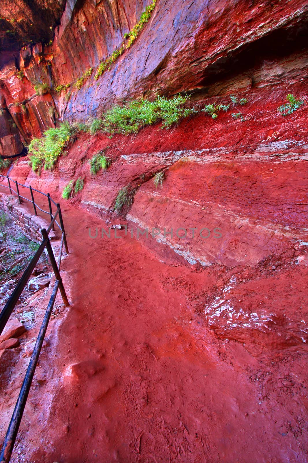 Brilliant hues of red rock along the Emerald Pool Trail of Zion National Park of Utah.