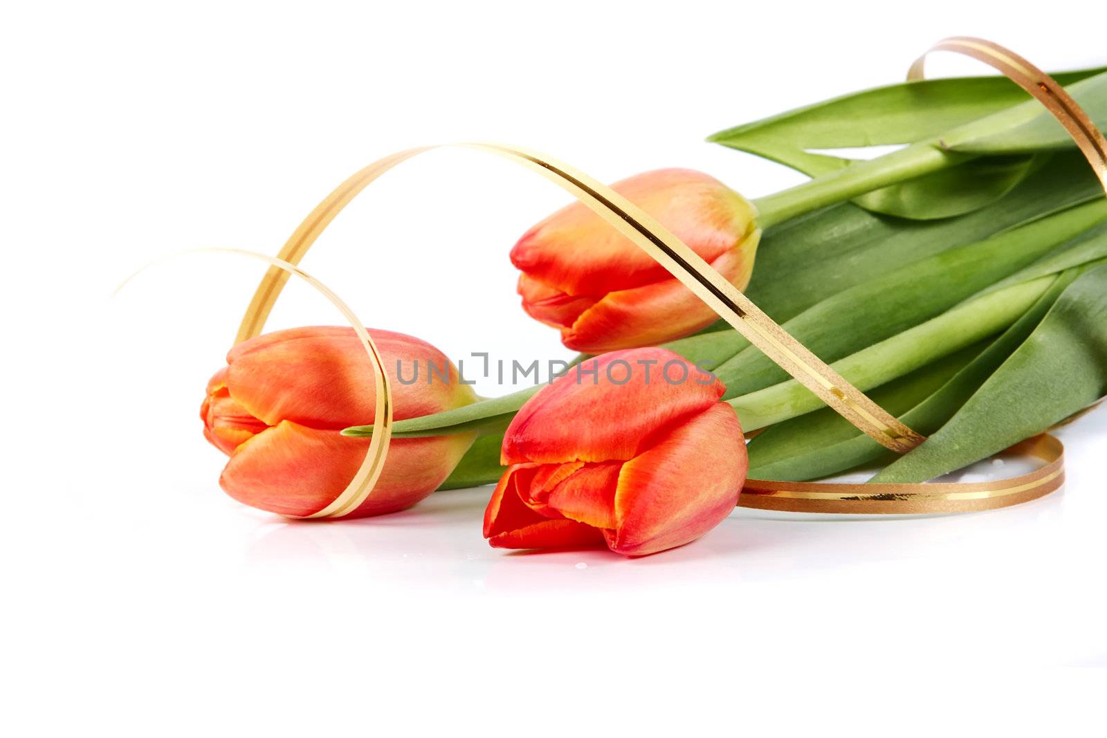 The bouquet of red tulips with a gold ribbon lies on a white background