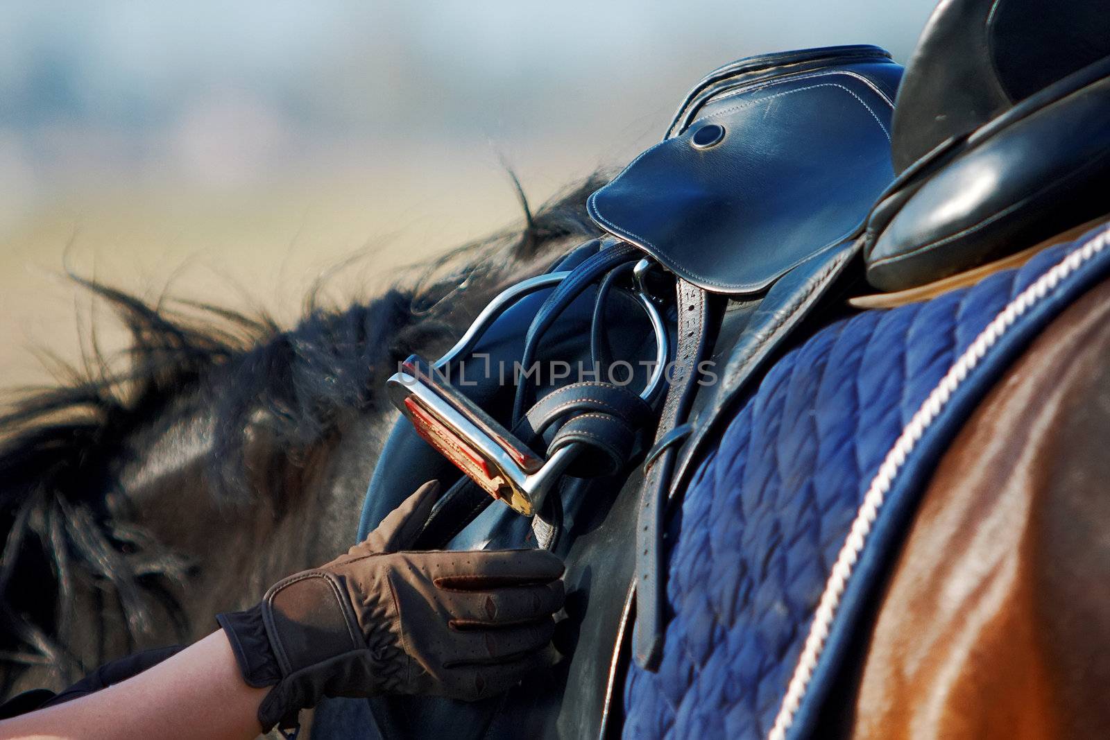 Saddle with stirrups by Azaliya