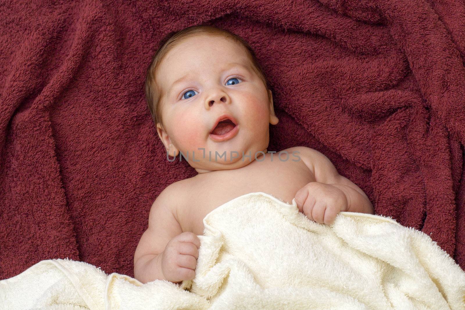 portrait of a close-up, infant lying on the bed