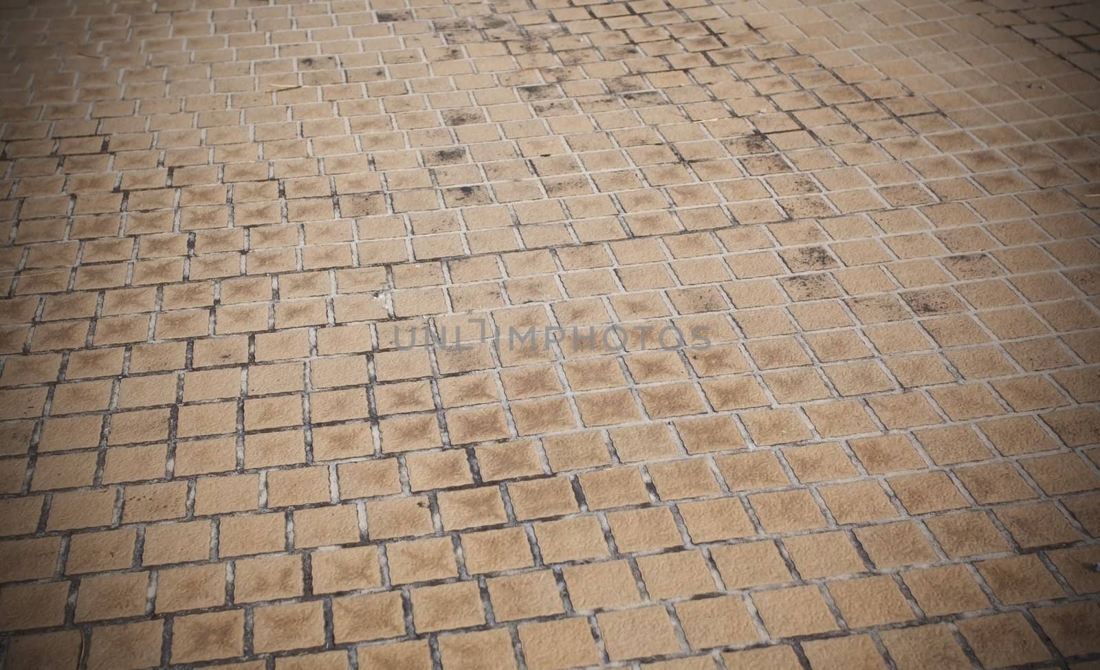 Brick pavement in a park