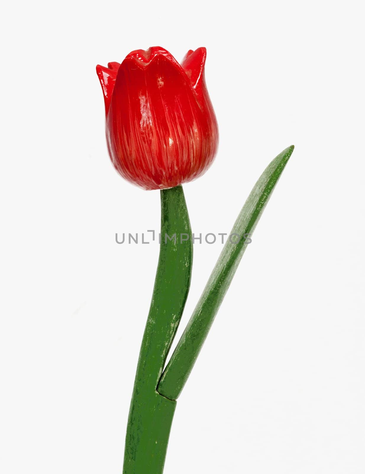 red plastic tulip flower isolated white background