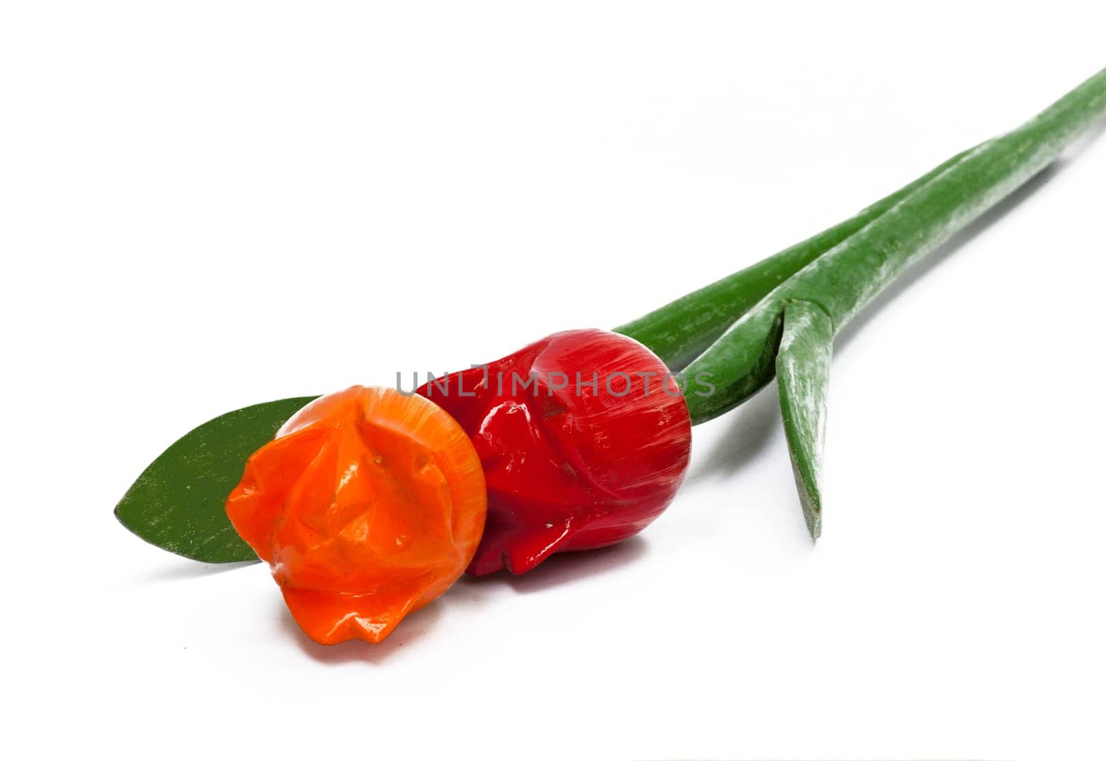 plastic tulip flowers isolated white background