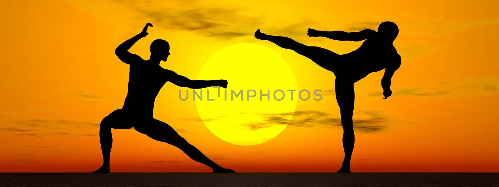 Shadow of two men in kung-fu posture by sunset