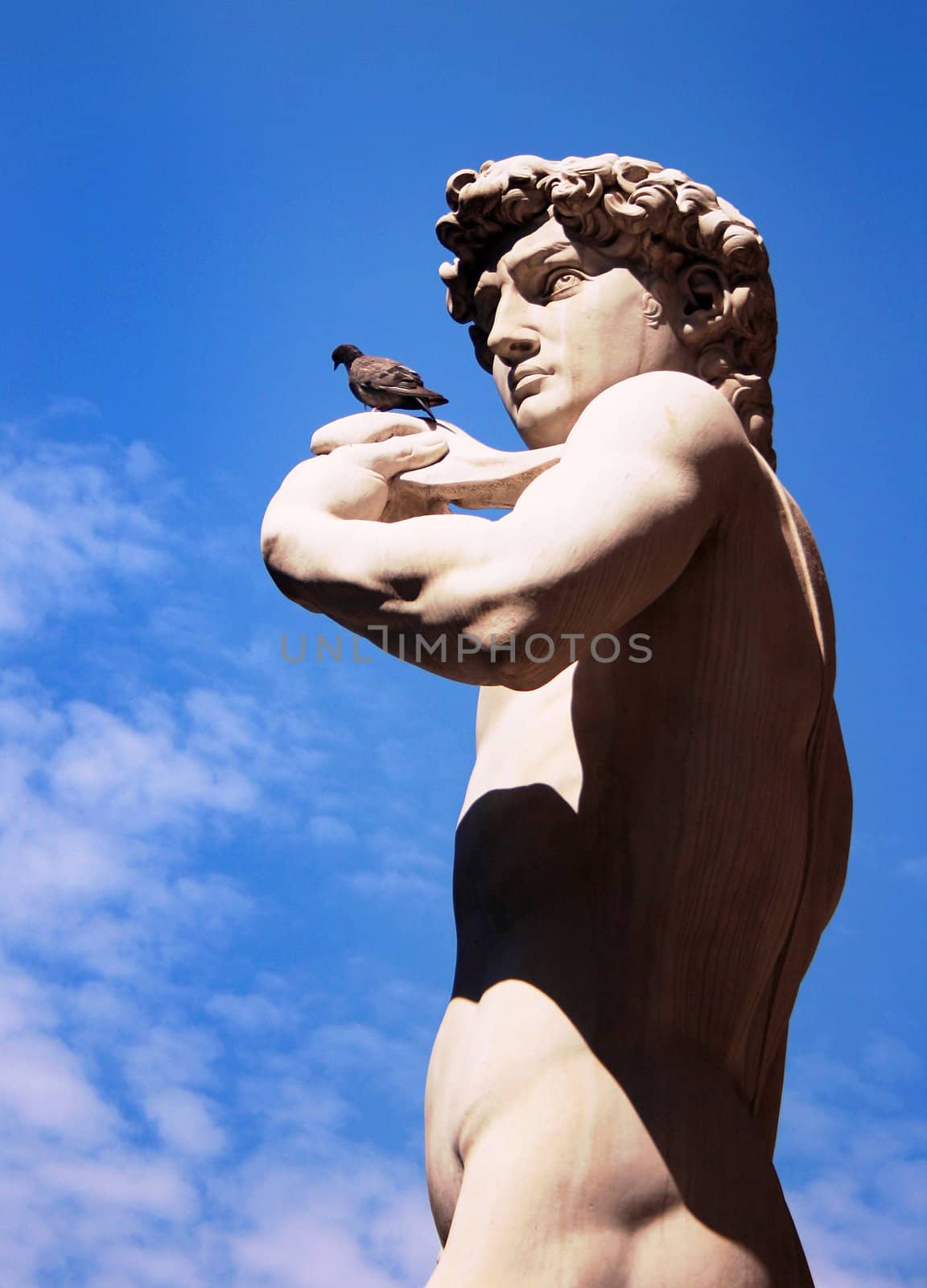 The famous David sculpture by Michelangelo and a pigeon, in Florence, Italy