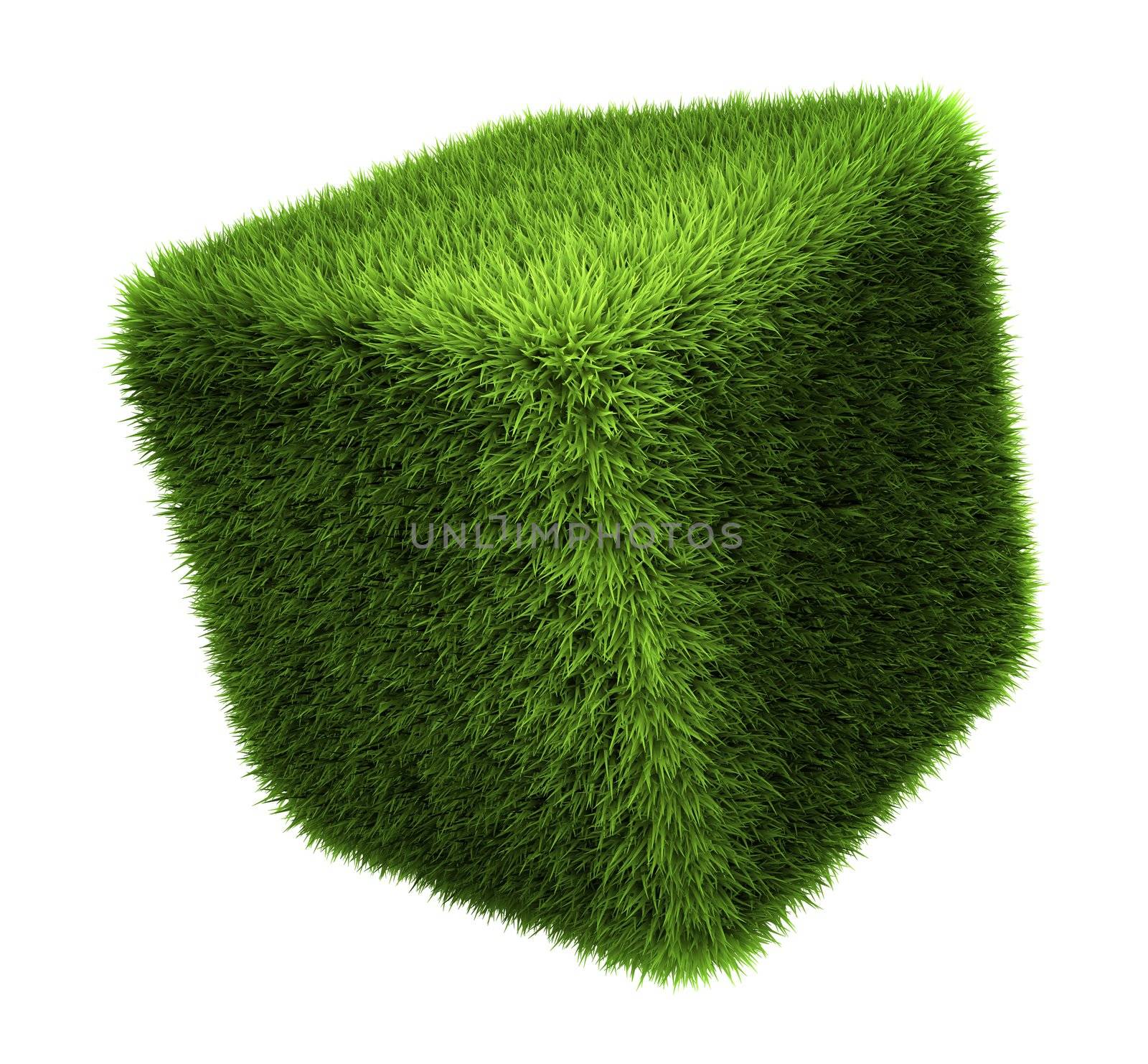 Grass cube isolated on white background, 3d render