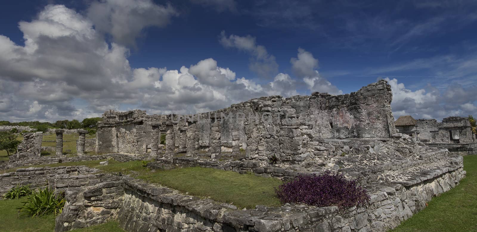 mayan temple of Tulum 