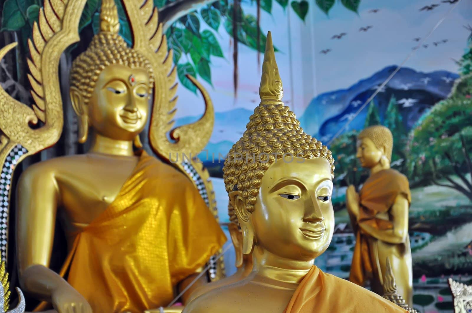 Buddha statue at temple in Thailand 