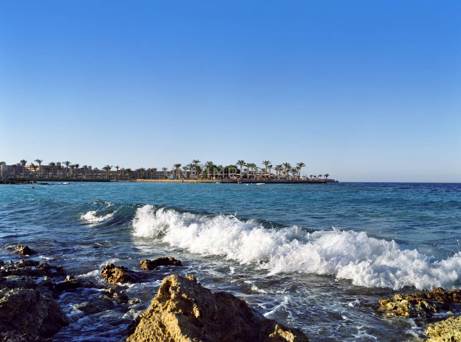 rocky coast of the Egyptian red sea